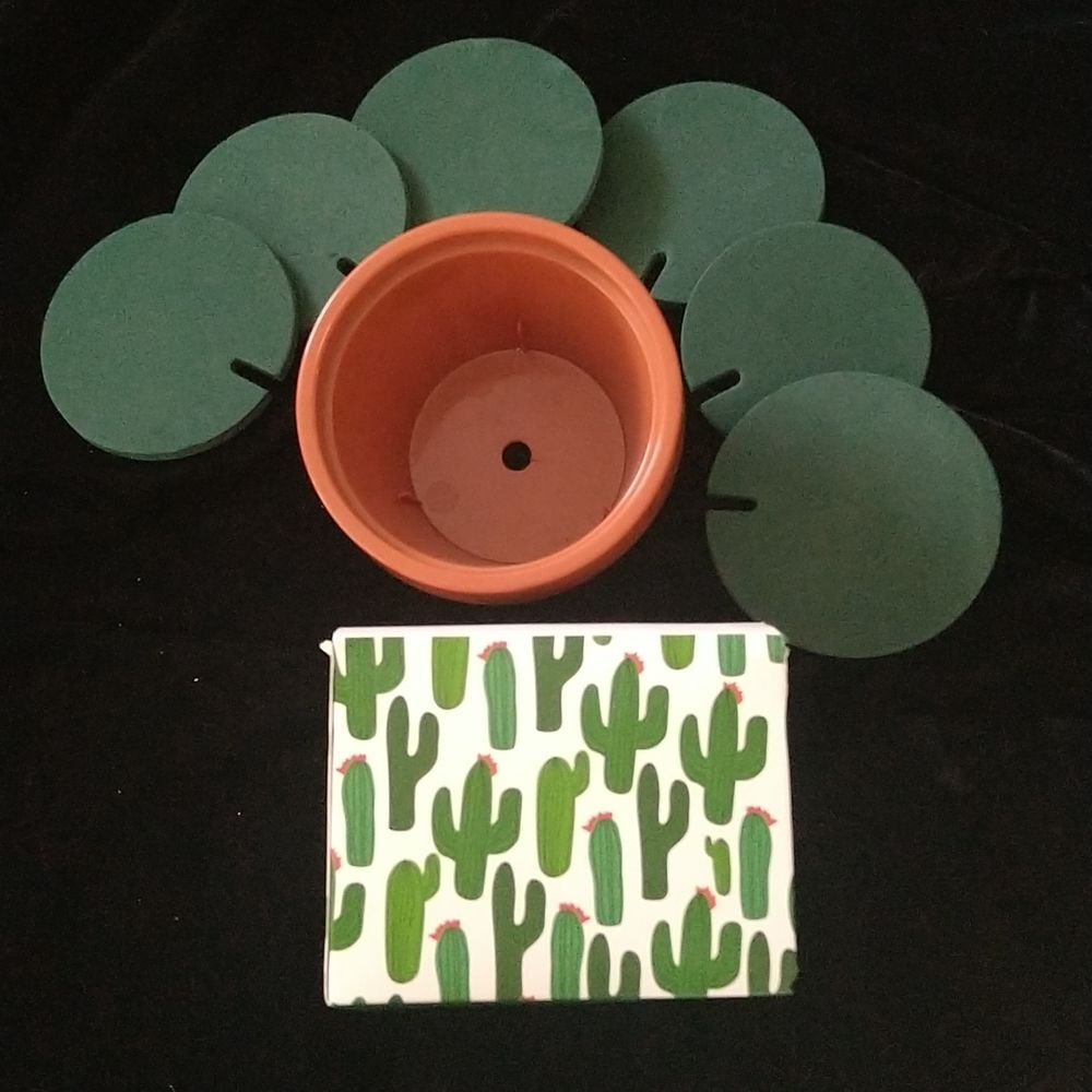 Cactus 🌵 Coaster Set - Picture 5 of 7